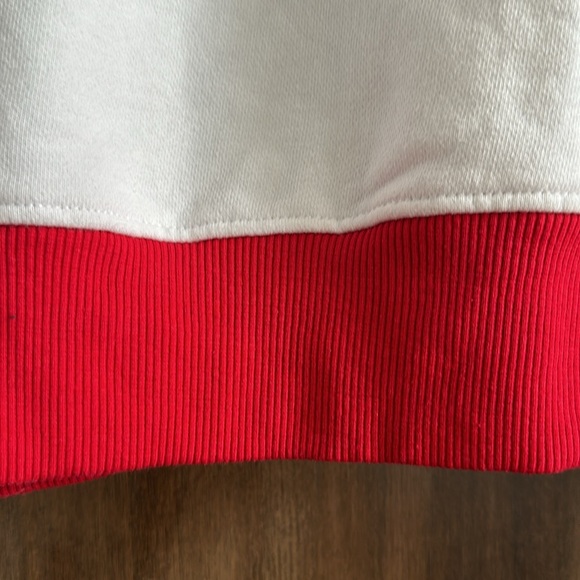 Champion Wisconsin Badger Sweatshirt - Picture 6 of 12